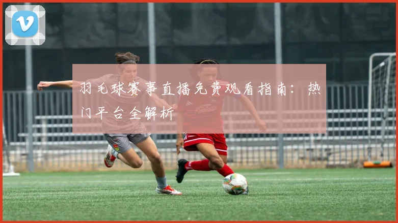 羽毛球赛事直播免费观看指南：热门平台全解析